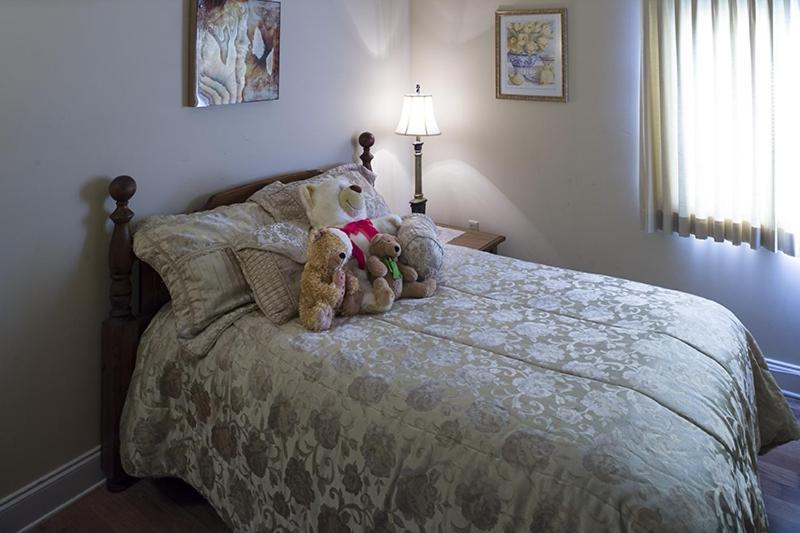 River Place Condos #411 3Bd ピジョンフォージ エクステリア 写真